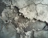 Détail d'un mur en béton fissuré et écaillé, révélant une texture rugueuse et des dépôts blancs ressemblant à de la mérule béton.