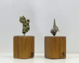 Deux sculptures en bronze, l'une abstraite, l'autre en forme de coquillage, sur des socles en bois portant la signature des fondeurs de bronze.