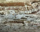 Mur de briques anciennes couvert de salpêtre, témoignant d'une humidité persistante. Une petite vis est visible.