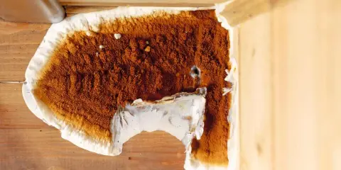 Gros plan sur une mérule brune et blanche sur du bois. Une tentative de nettoyage avec du vinaigre blanc semble avoir été faite.