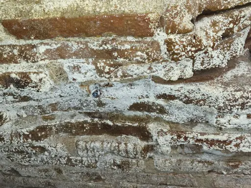 Mur de briques anciennes couvert de salpêtre, témoignant d'une humidité persistante. Une petite vis est visible.
