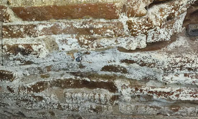 Mur de briques anciennes couvert de salpêtre, témoignant d'une humidité persistante. Une petite vis est visible.