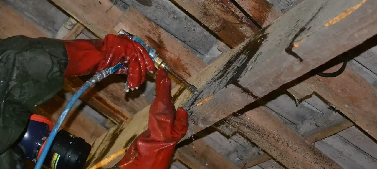 Application d'un produit pour le traitement vermoulure bois. Des mains gantées pulvérisent un liquide sur des poutres infestées.