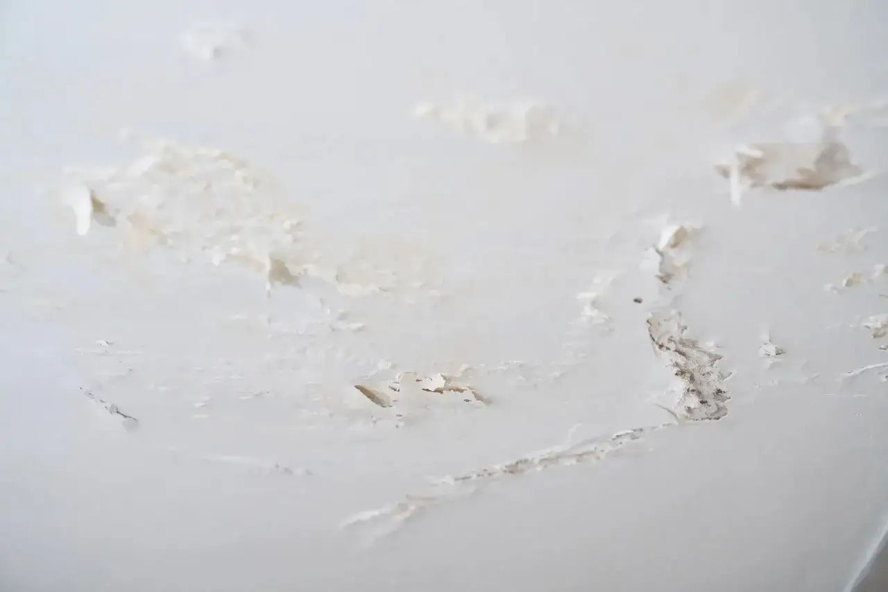 Plafon dégradé par le salpêtre et l'humidité, la peinture s'écaille révélant des traces de moisissure.